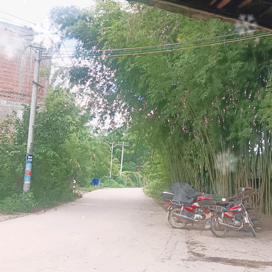 十七叔