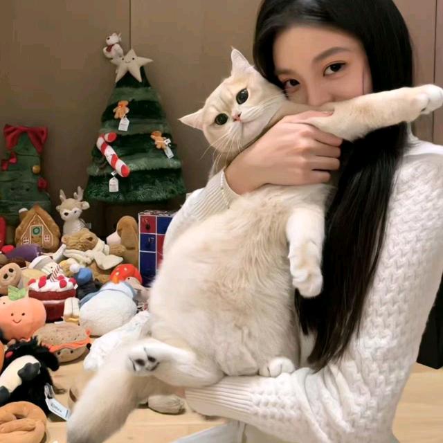 天才小伊