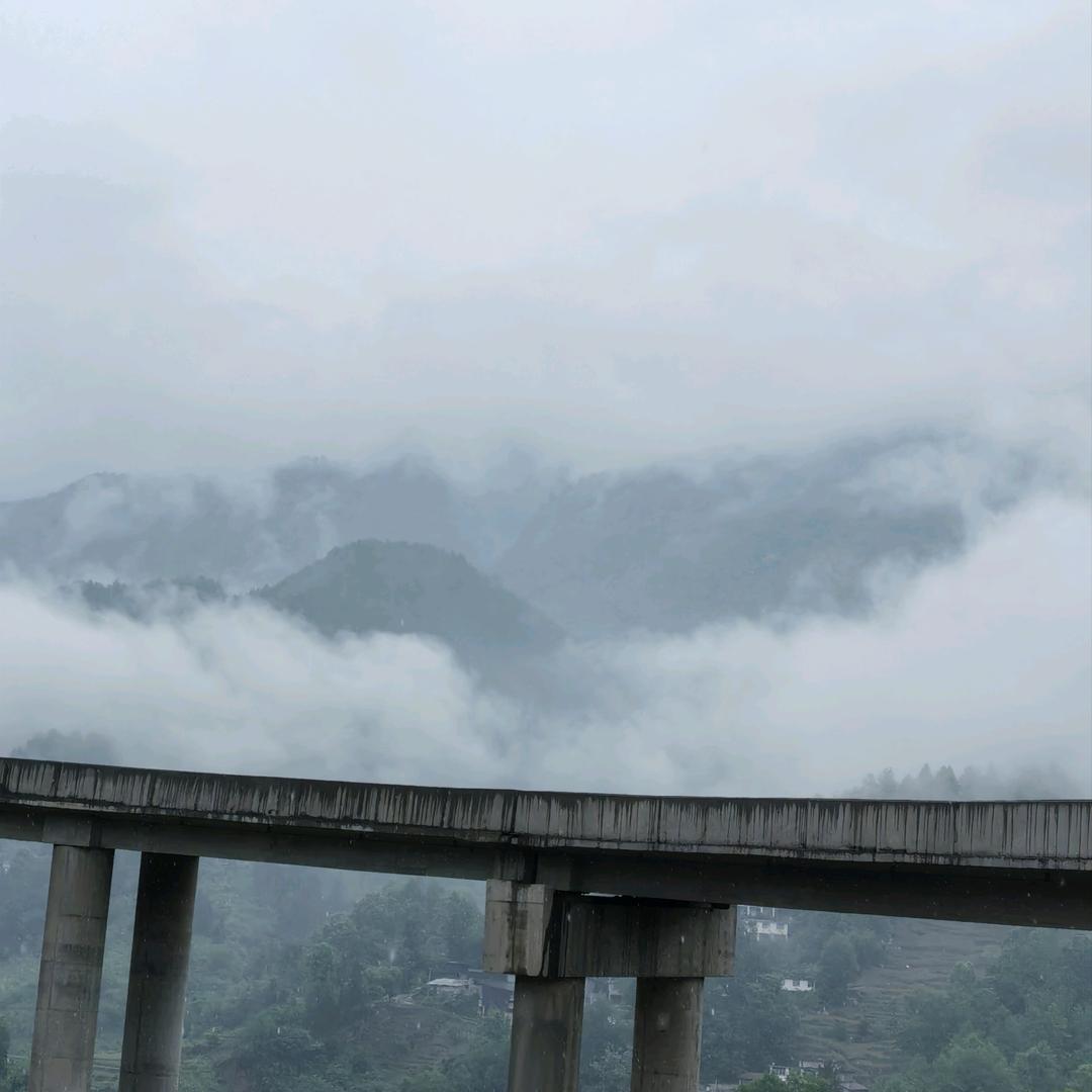陈缘往事