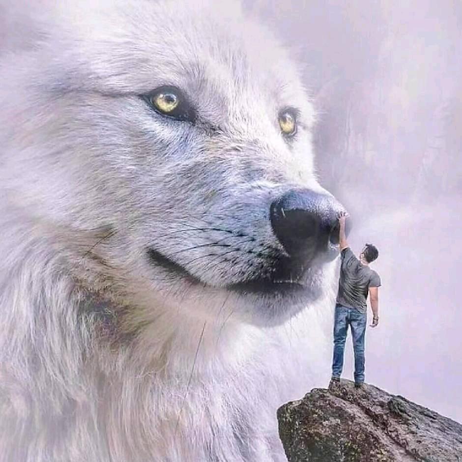 💞苍穹翰💟Bro