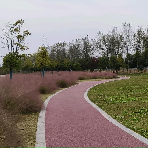 我想要两颗西柚