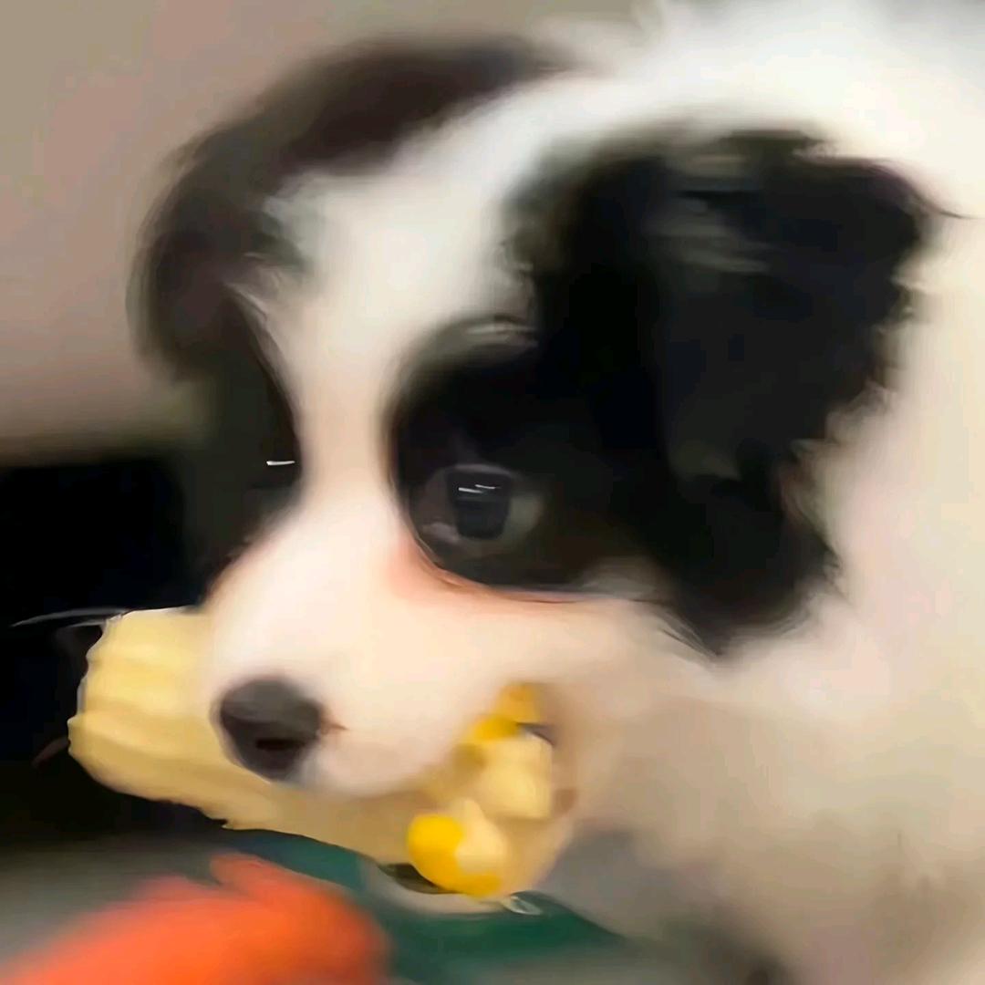 瑞