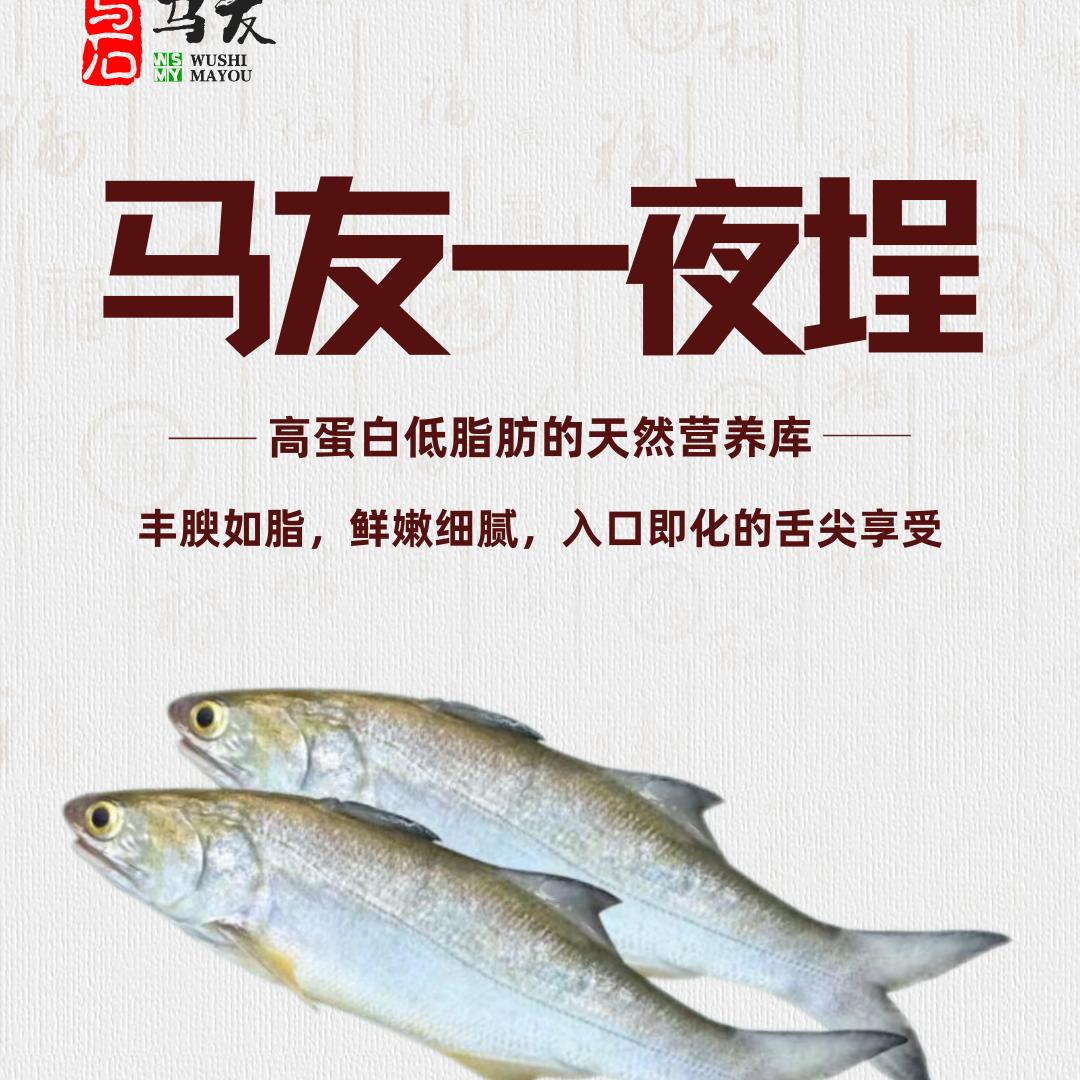 马友鱼一夜埕批发、零售