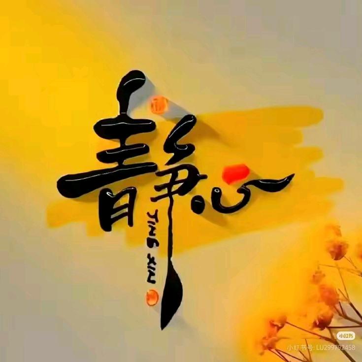 花开花落沉默（静心）