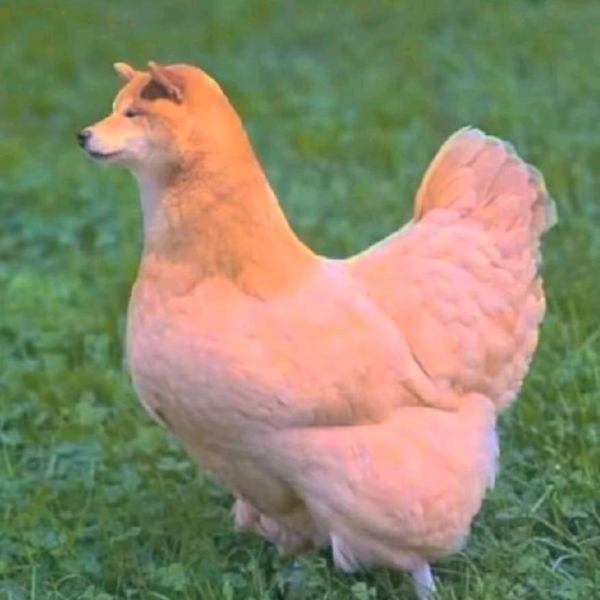 人间惆怅客