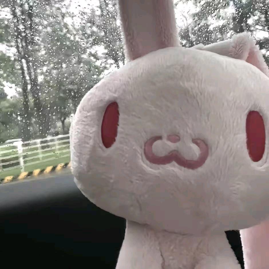 忧悯