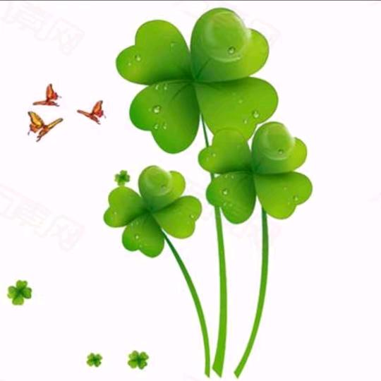 达利园盼盼勤🔥