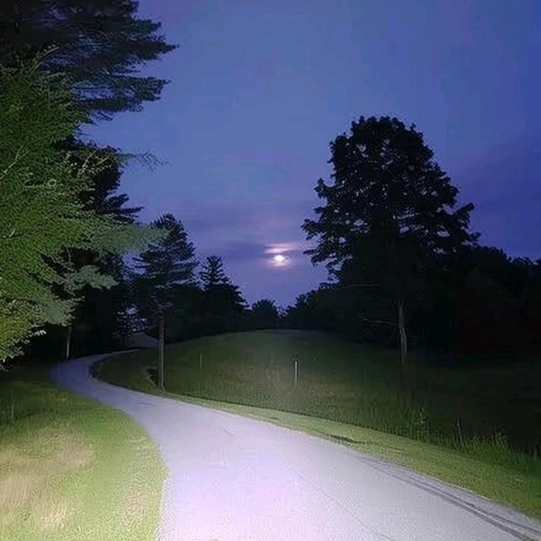 峰回路转头像
