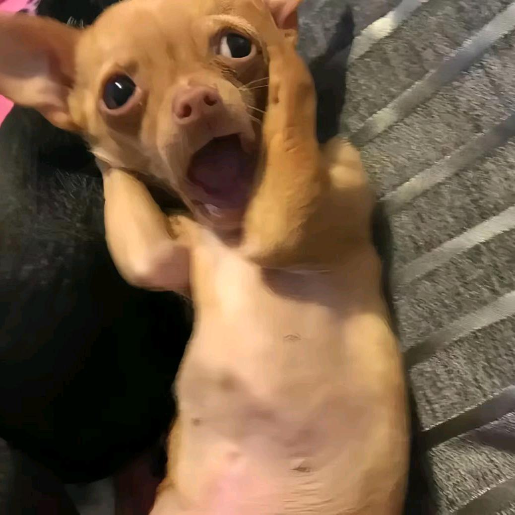 炖超