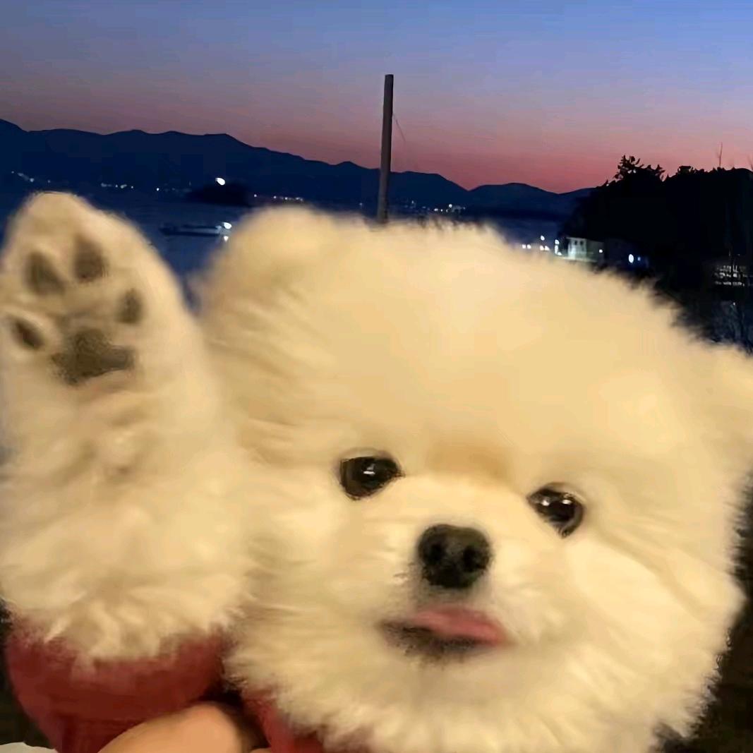 兜有米