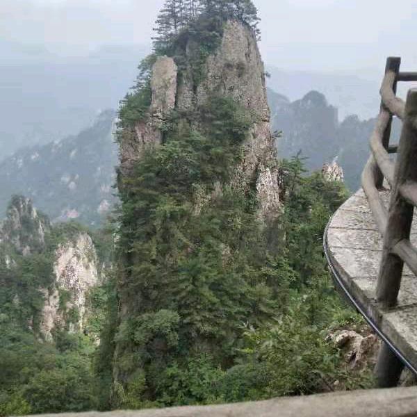 南阳优财装饰