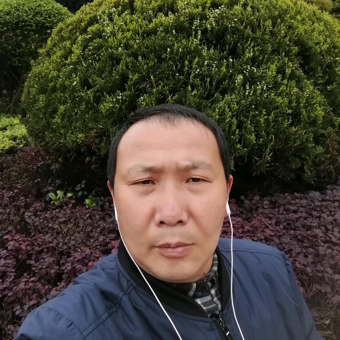 金龙