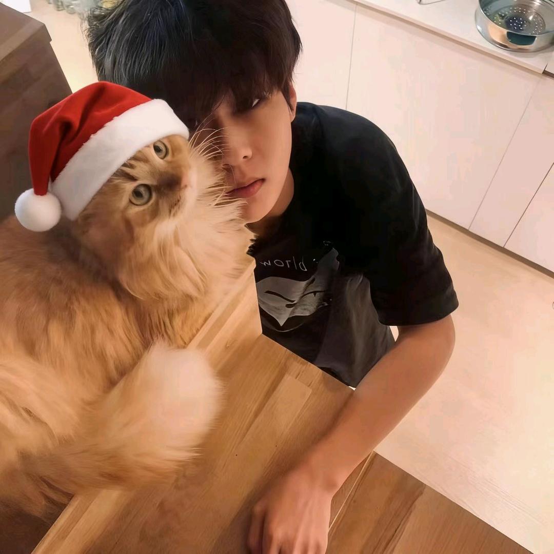 @敌不过我开心🧣