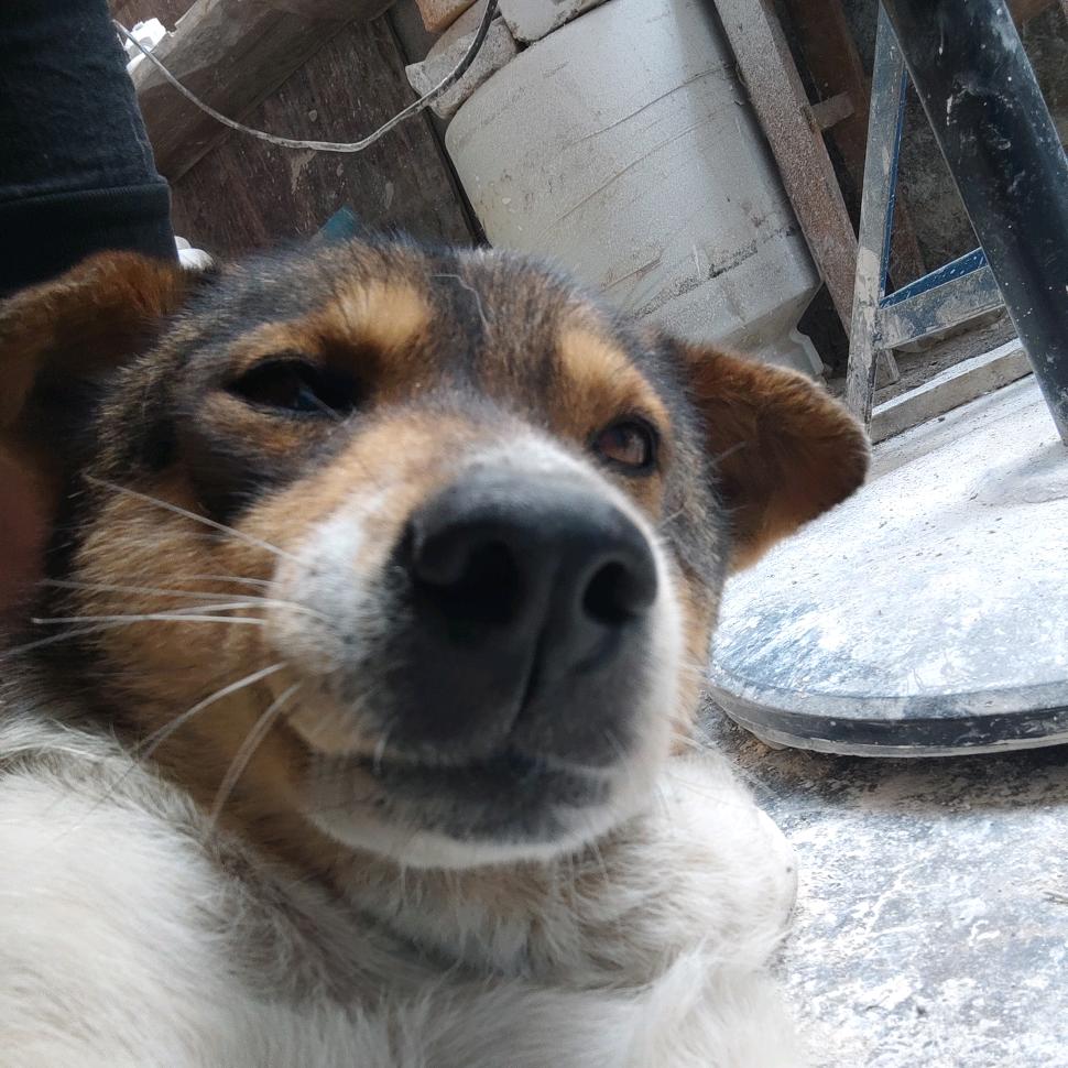 我就看看不点赞