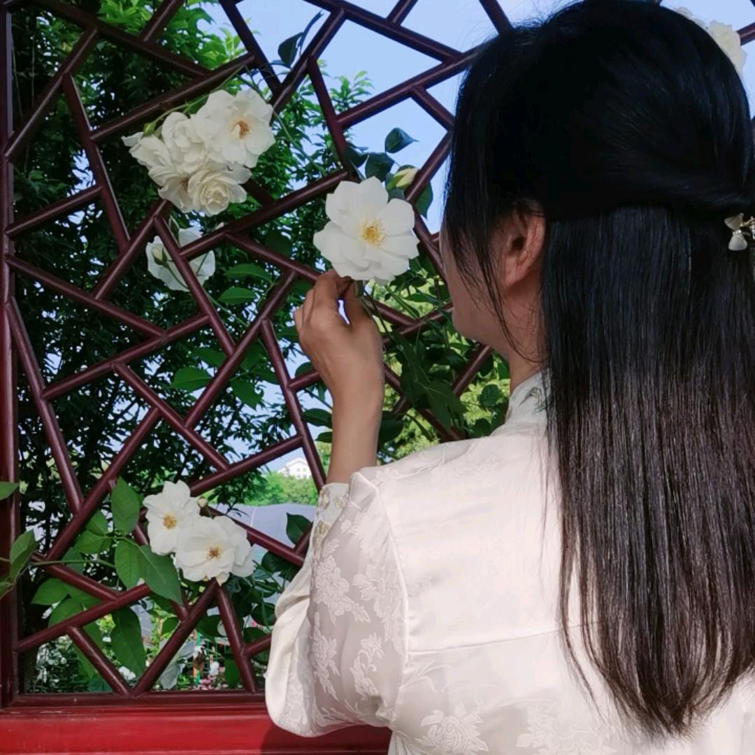 春暖花开