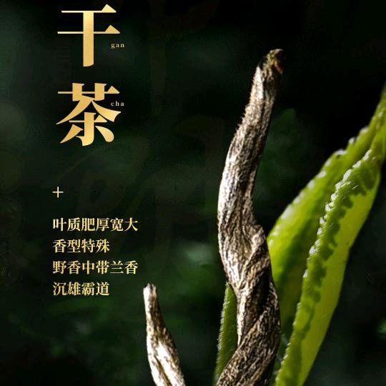 小郑茶
