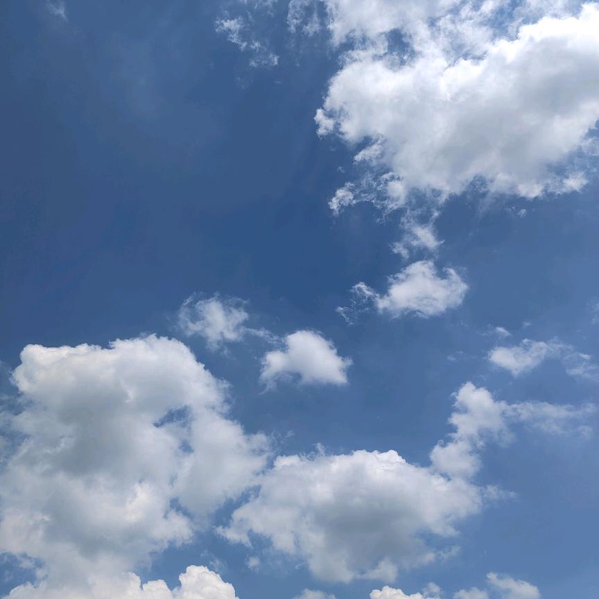 悦