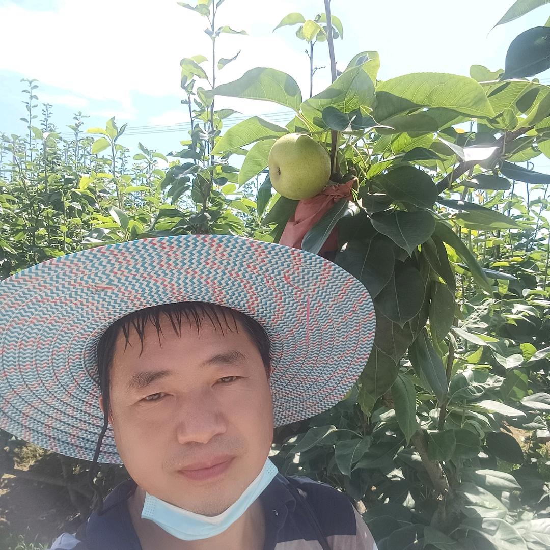 天坪老石人