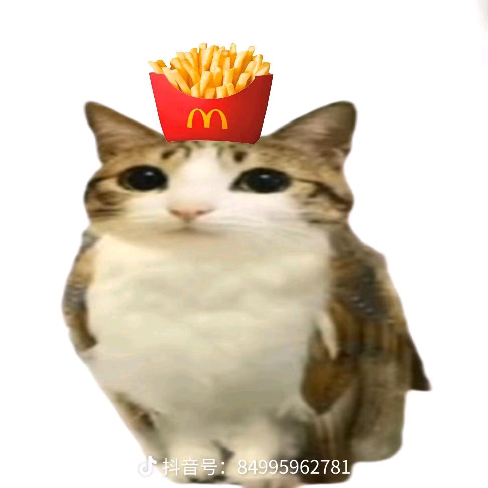 汉堡🍔