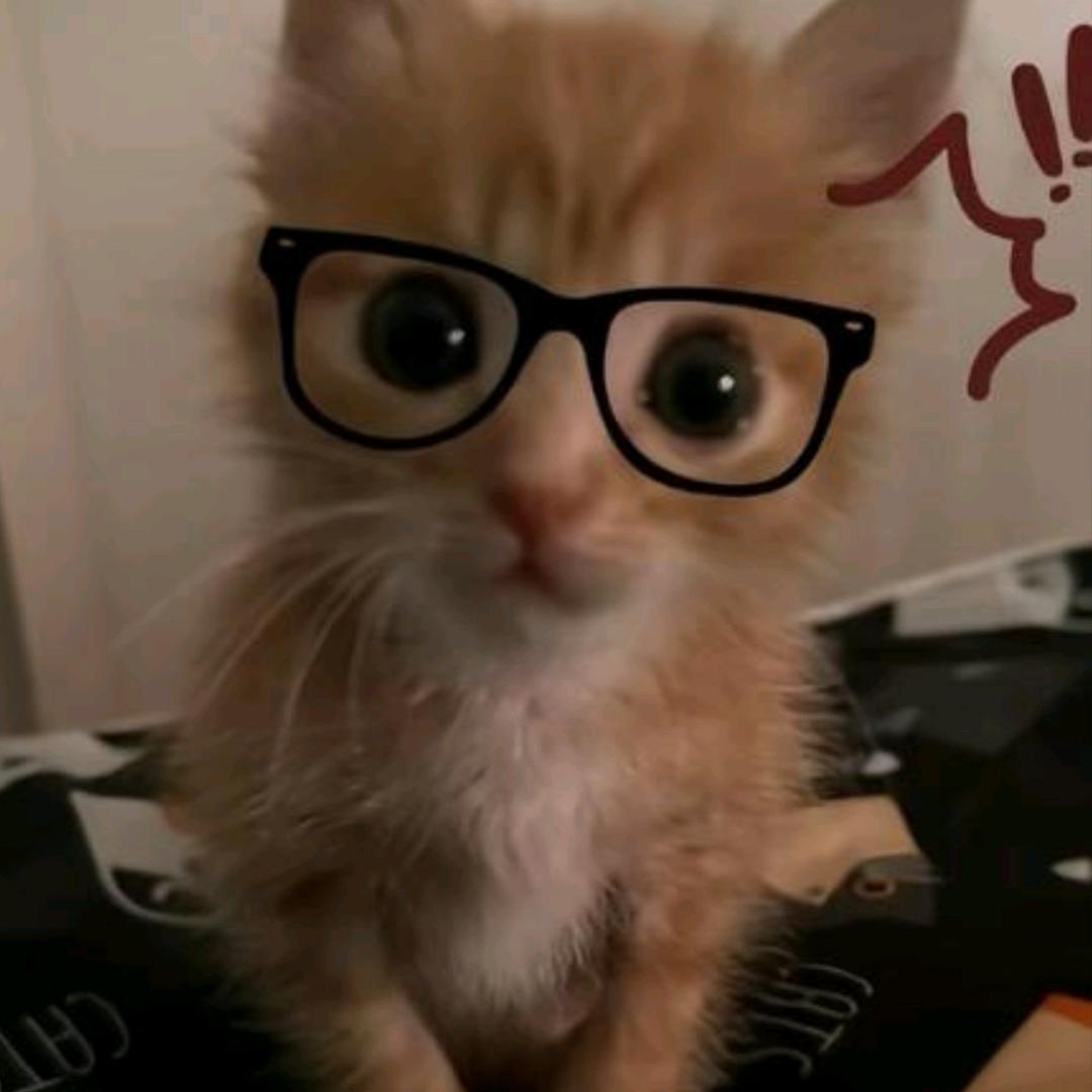 可爱的尿