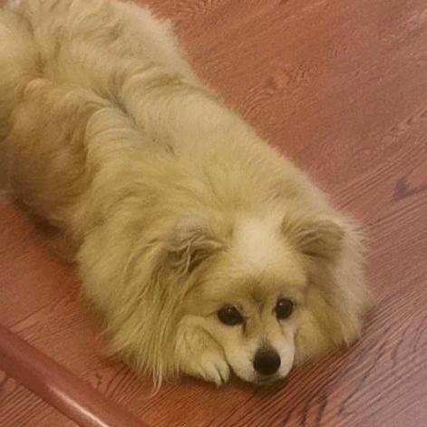 无凝🐧（灯牌版）