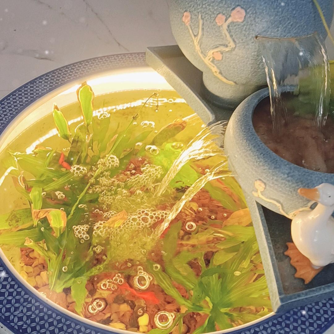 红色的鱼