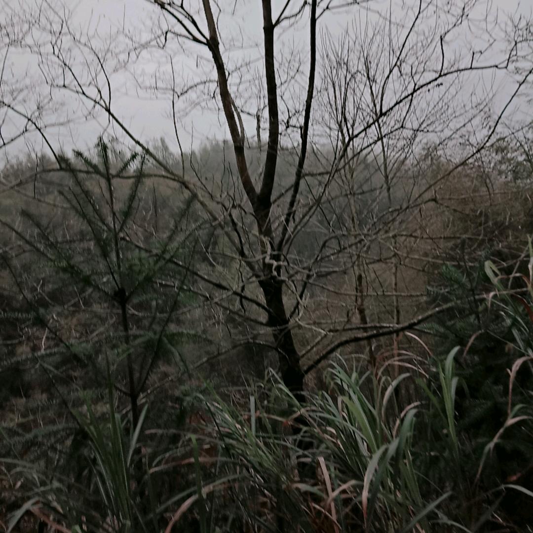 冬天、
