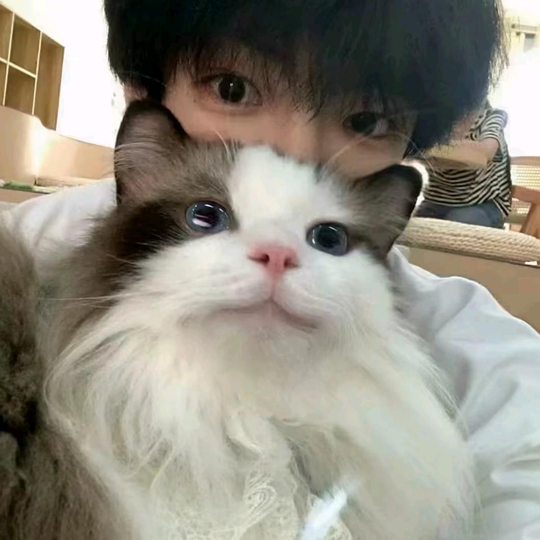 小夜