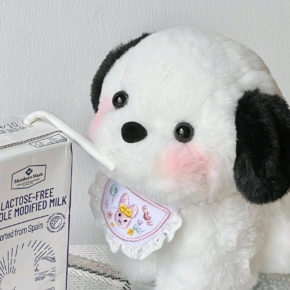 小熊软糖