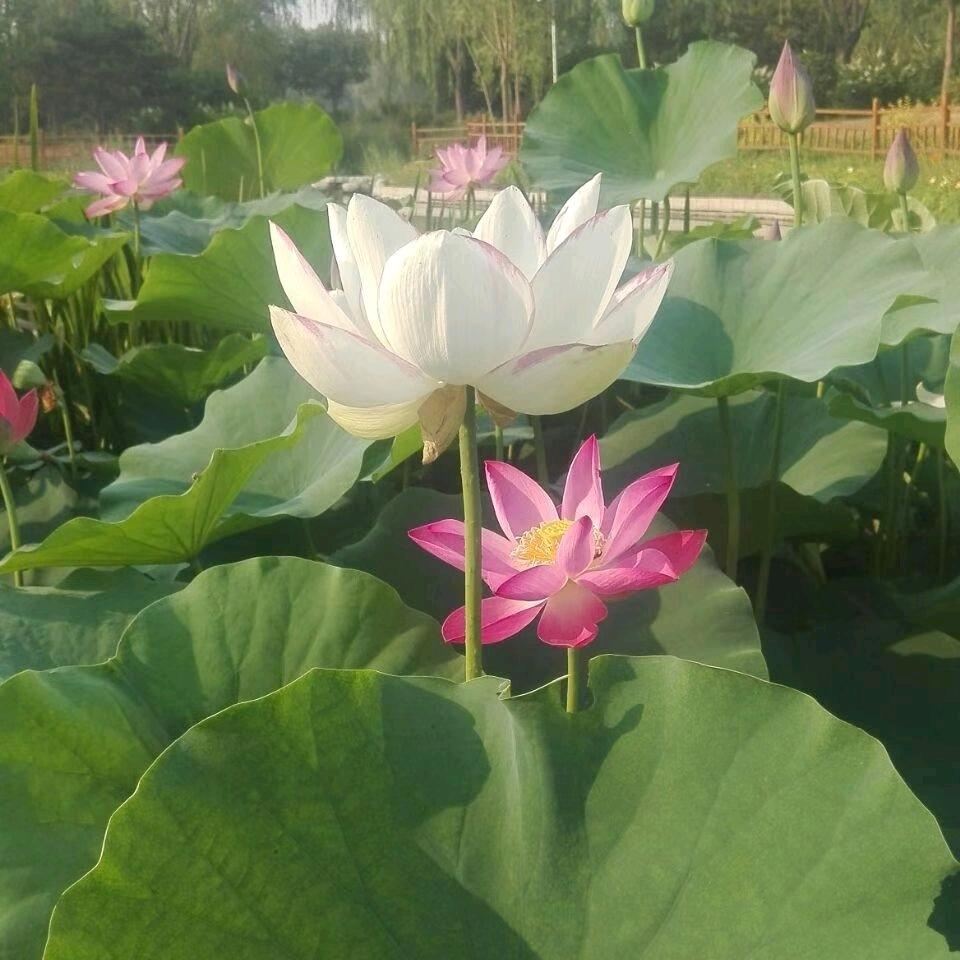 幸福一家人