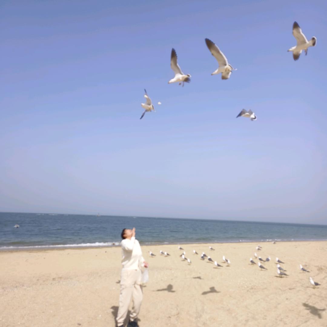 九公主