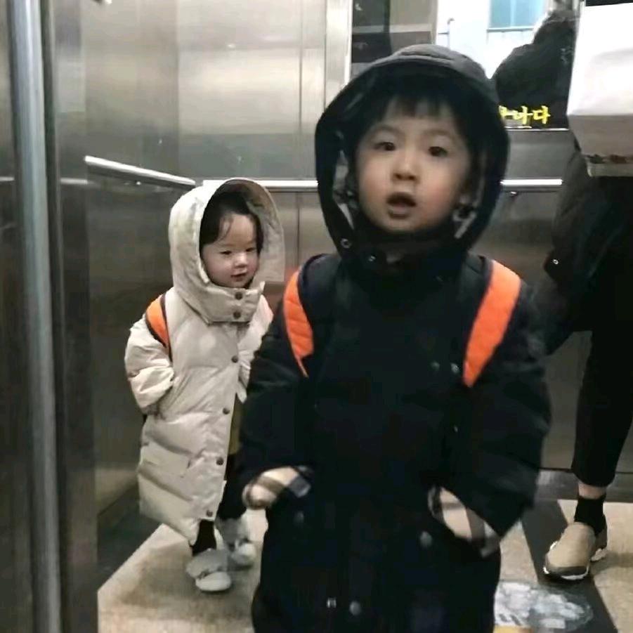 每天都好困🍂