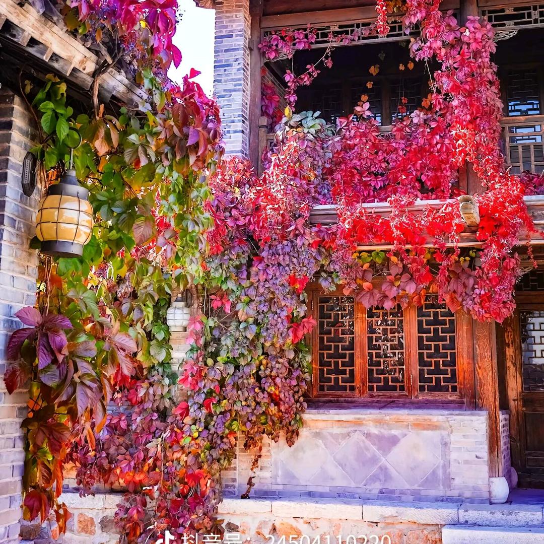 一生只为等一人