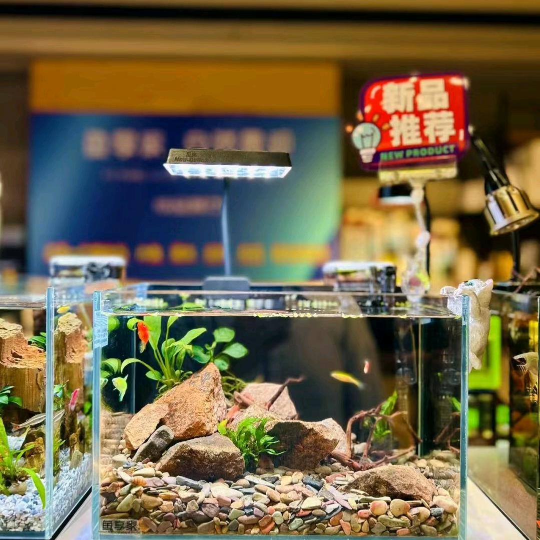 星权益水族用品