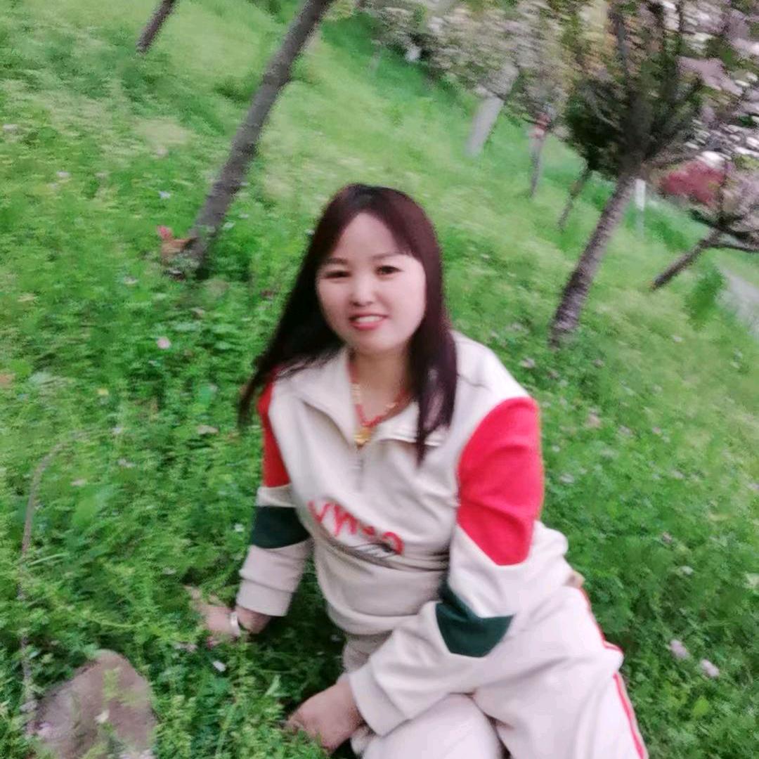 飞飞燕