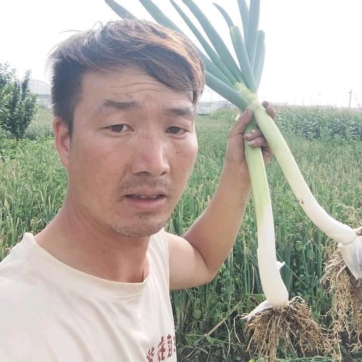 大葱自产自销
