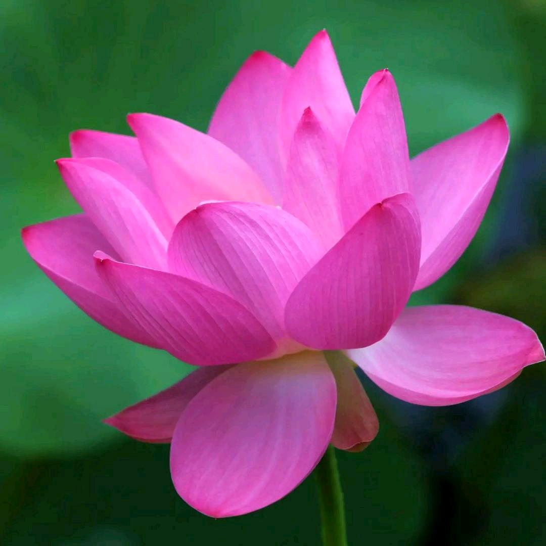 今生我在修佛缘人