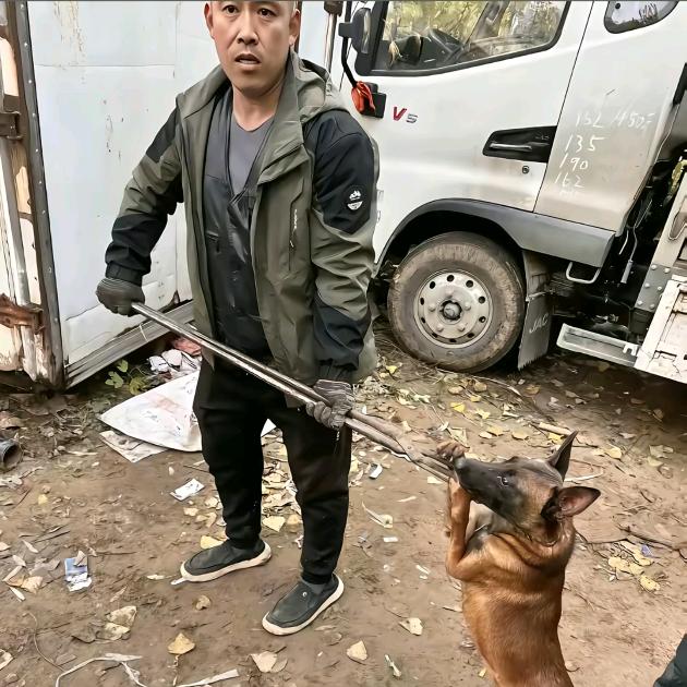 专业套狗陈师傅