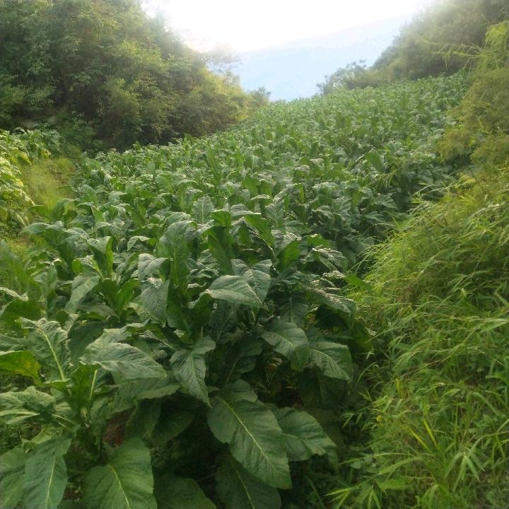 忘一个人很难。