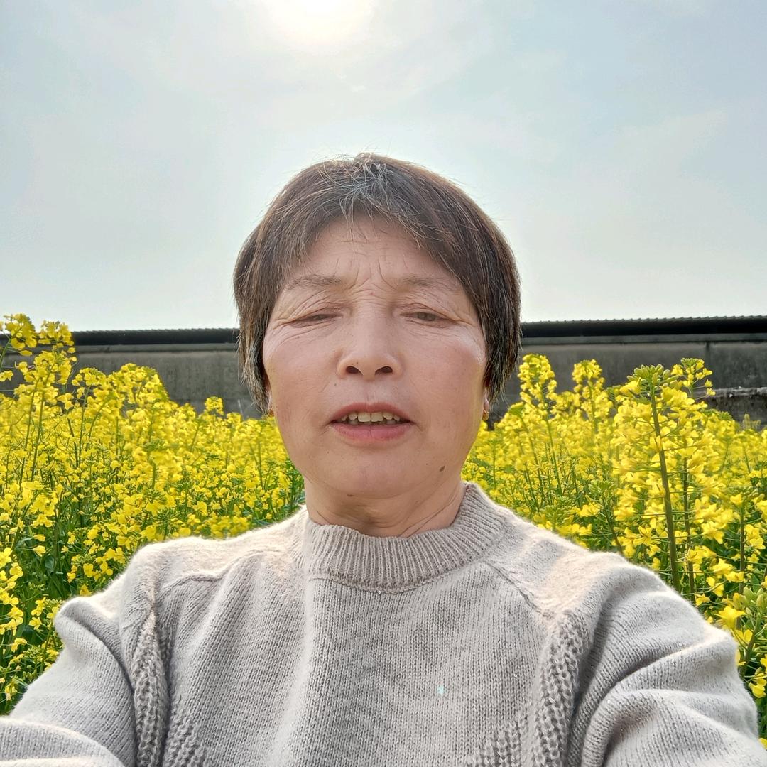 江云姐