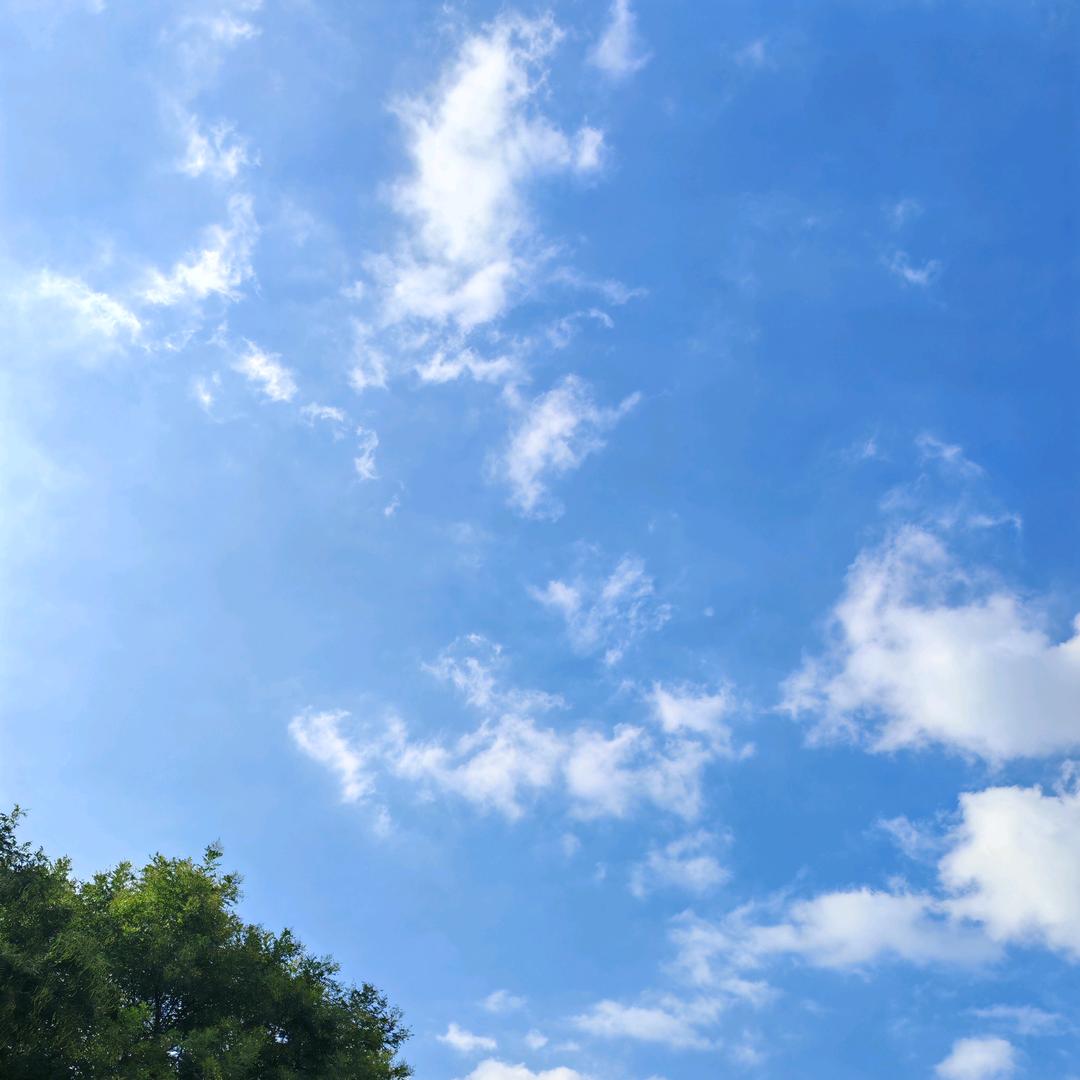 迷/茫