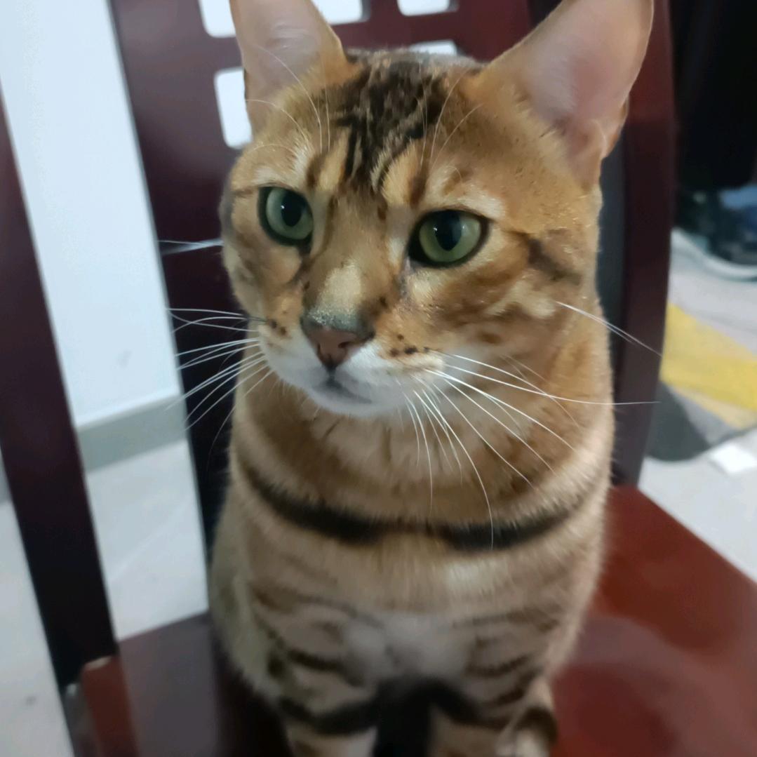 a云朵