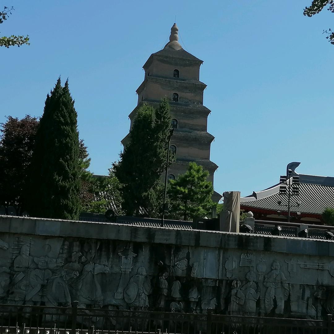 琪心同德
