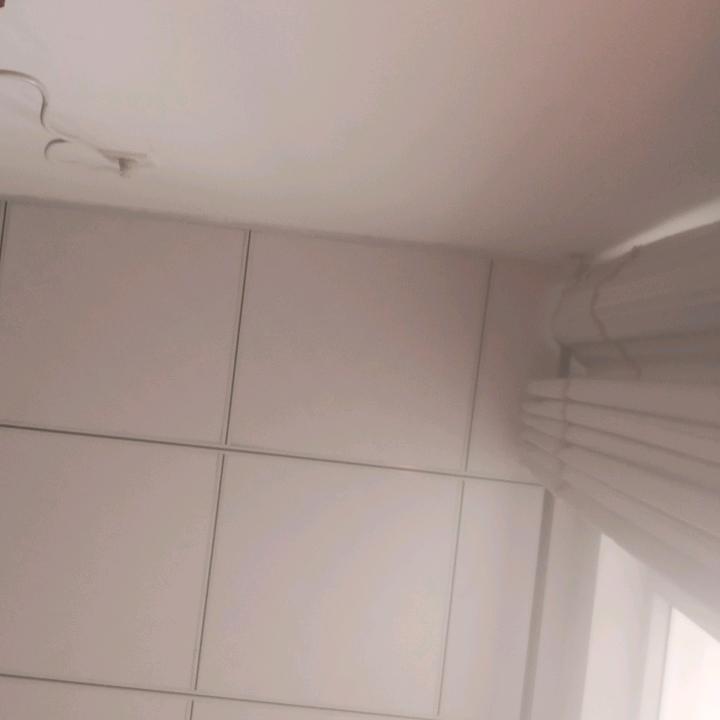 我行我素