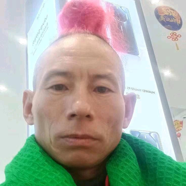 网红小公鸡
