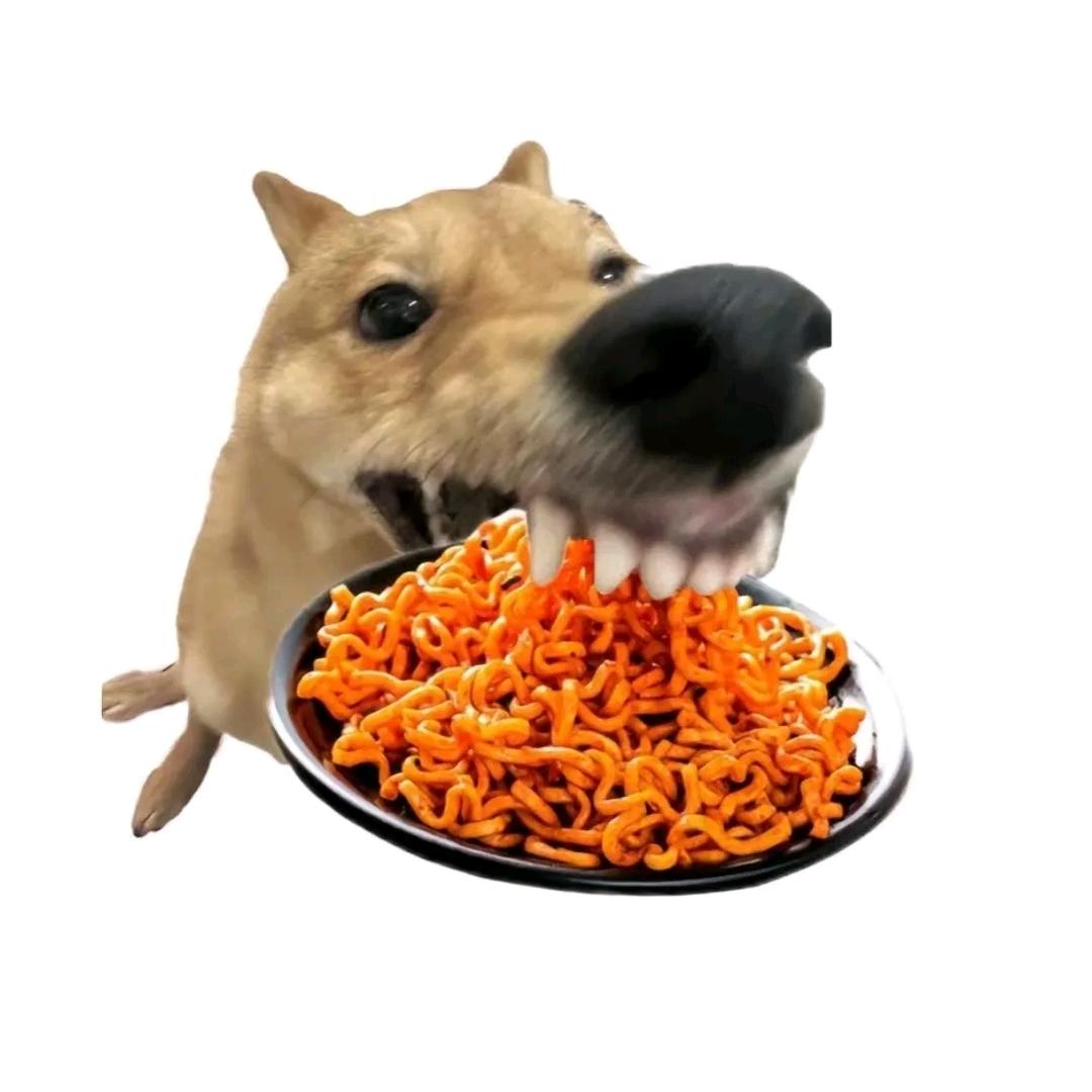 普普摆摊记