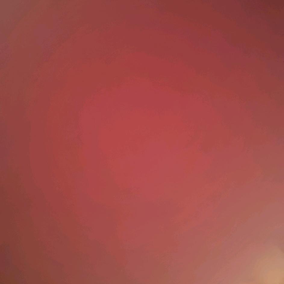 白白的白