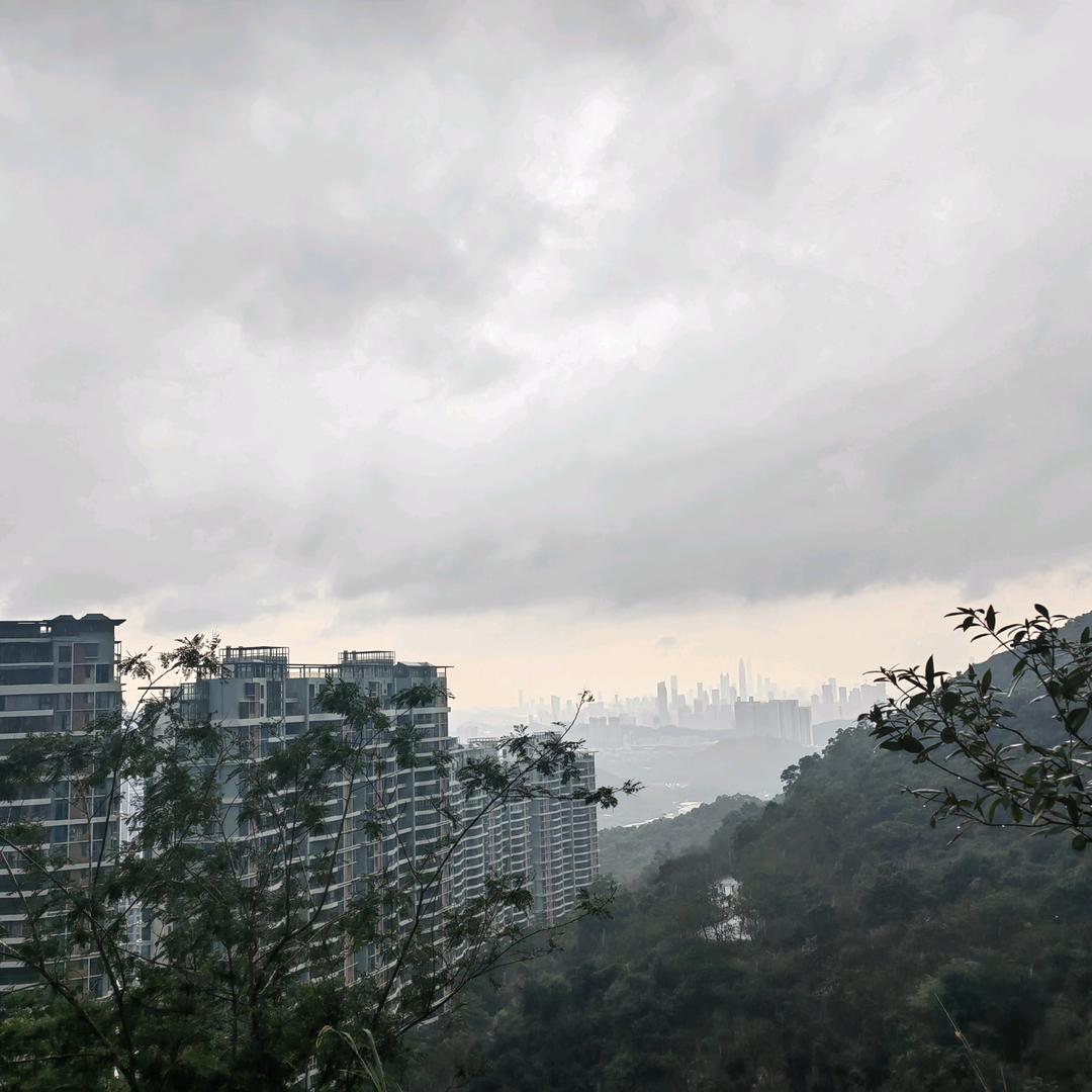 雨楼听风雨