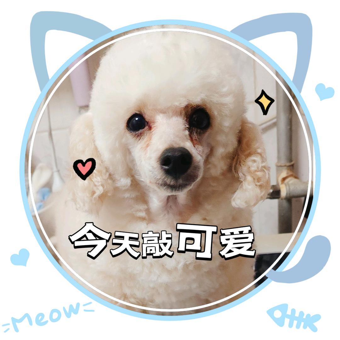 ╊遥遥、无期ミ