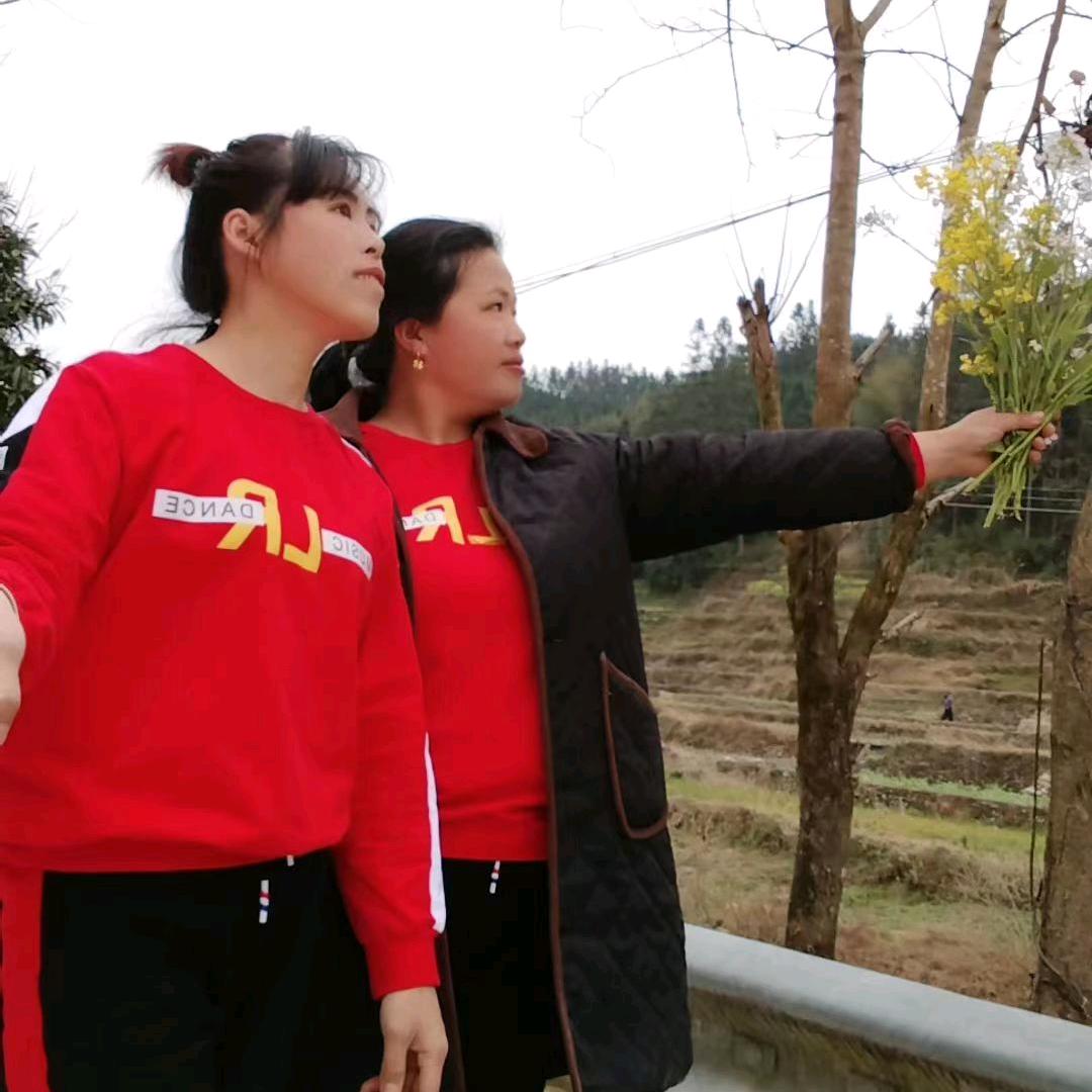 🍁简简单单🍁